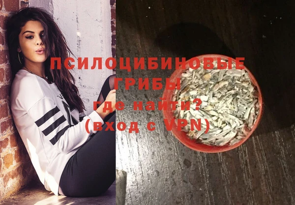мет Арсеньев