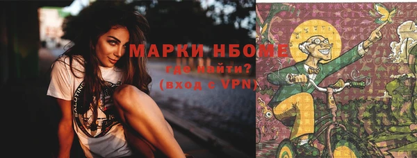 Альфа ПВП Аркадак