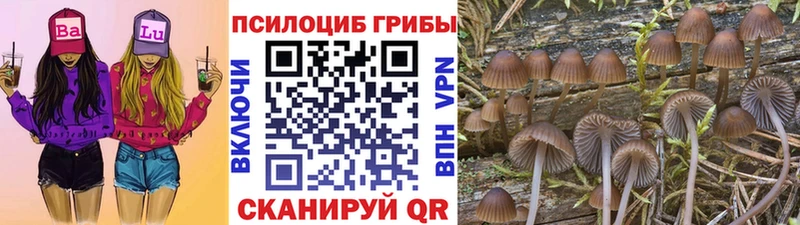 Псилоцибиновые грибы Psilocybe  MEGA ONION  Светлоград 